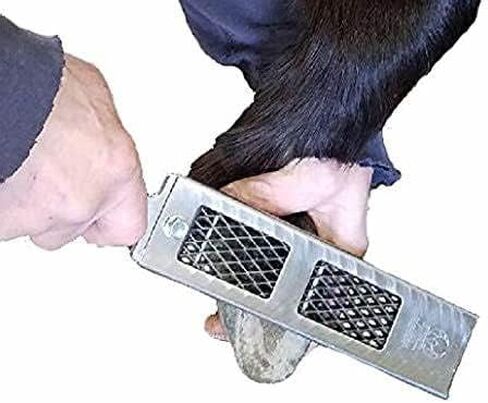 Cody James Littlefoot Hoof Rasp - The Best mini File for Trimming Smaller Hooves - Choose Fine, Medium or Aggressive (FINE) in Kuwait