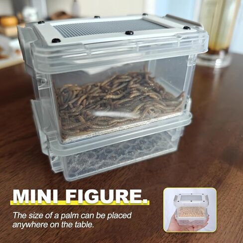 مجموعة تربية ديدان الوجبات، لتربية ديدان الوجبات الحية، وحدة تغذية ديدان الوجبات مع ملاقط وفراش نخالة القمح (للديدان 0.5-2 سم) in Kuwait