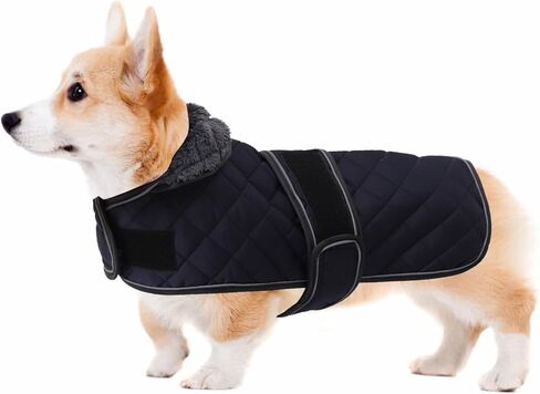 سترة Geyecete Corgi للكلاب معطف كورجي مبطن حراري دافئ، معطف شتوي للكلاب مع بطانة صوف دافئة، ملابس كورجي خارجية للكلاب، أحمر - L in Saudi Arabia