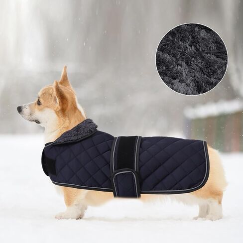 سترة Geyecete Corgi للكلاب معطف كورجي مبطن حراري دافئ، معطف شتوي للكلاب مع بطانة صوف دافئة، ملابس كورجي خارجية للكلاب، أحمر - L in Saudi Arabia