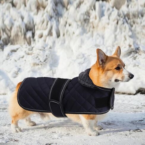 سترة Geyecete Corgi للكلاب معطف كورجي مبطن حراري دافئ، معطف شتوي للكلاب مع بطانة صوف دافئة، ملابس كورجي خارجية للكلاب، أحمر - L in Saudi Arabia