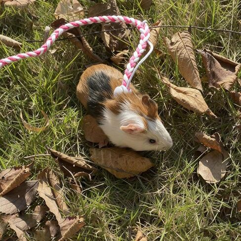 3 قطع من سرج مقود الهامستر القابل للتعديل لحيوان السنجاب الفأر النمس الصغير in Kuwait