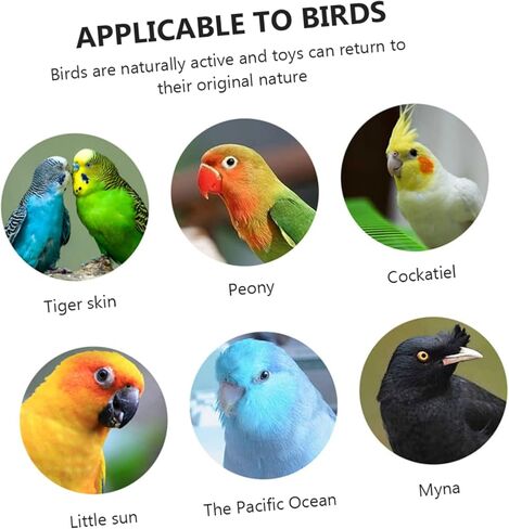 Luxshiny 4pcs Automatic Bird Water Fountain Plastic Parrot Drinking Bottles with Transparent and Blue Containers Easy to Install Pet Supplies for Cage Feeding in Kuwait