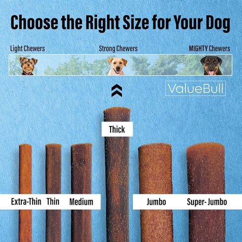 ValueBull Collagen Sticks for Dogs, 12 Inch Thick Chews, Natural Long-Lasting Dog Treats, 50 Count Bulk Pack - Supports Joints, Skin & Coat with Chondroitin & Glucosamine in Kuwait