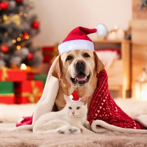 5 قطعة قبعة سانتا عيد الميلاد مشبك شعر إكسسوار شعر للحفلات قابل للتعديل حزام الذقن كلب صغير القط الحيوانات الأليفة لوازم الديكور in Kuwait