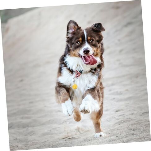 Charm Pet Collar Bells Crisp Sound for Dogs and Cats Easy to Install Decorative Pendants for Pet Collars in Saudi Arabia