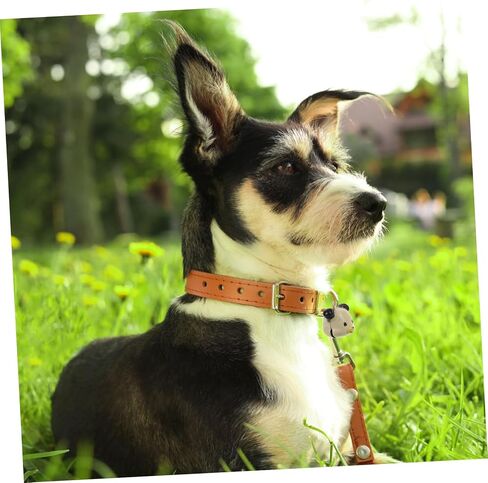 VICASKY 10pcs Pet Collar Bells DIY Hanging Charms for Dogs and Puppies Lightweight Durable Accessories for Christmas Gatherings Daily Wear Pattern Design in Saudi Arabia