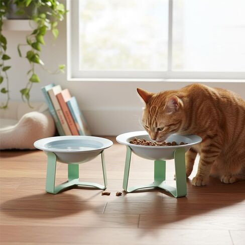 Elevated Pet Bowl, Non-Skid Tilted Anti-Spill Cat Food and Water Dish for Neck Relief, Raised Feeder for Cats and Small Dogs (Purple) in Saudi Arabia