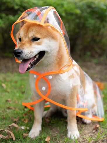 Waterproof Dog Raincoat with Hood - Adjustable Transparent Poncho for Outdoor Pets - Lightweight & Portable in Saudi Arabia