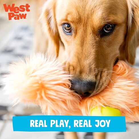 WEST PAW Rowdies Helga Durable Plush Dog Toy with Reinforced Seams Chew Resistant HardyTex Fabric and Interactive Squeaker for Safe Indoor and Outdoor Playtime Bundle for Dogs - Seafoam in Saudi Arabia