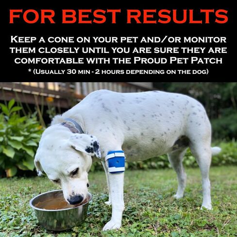 Proud Pet Patches Dog Bandage for Wound Care w/ Peep Hole Cover. Bandages for Dog Hot Spots, Lick Granuloma, Stitches and Wounds. Self Adhesive Wrap Works for Paw, Tail, Legs, Foot for Dogs & Cat in Kuwait