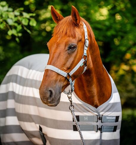 مبرد الصوف من Horseware® Newmarket Pony in Kuwait