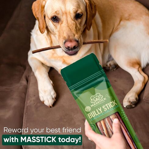 MASSTICK Jumbo Bully Sticks للكلاب 6 بوصة - سميكة جدًا، طويلة الأمد، خالية من الرائحة - أعواد مضغ البقر للكلاب - جميعها طبيعية وقابلة للهضم بالكامل للكلاب الصغيرة والكبيرة - حقيبة 8 أونصة in Kuwait