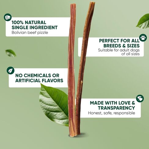 MASSTICK Jumbo Bully Sticks للكلاب 6 بوصة - سميكة جدًا، طويلة الأمد، خالية من الرائحة - أعواد مضغ البقر للكلاب - جميعها طبيعية وقابلة للهضم بالكامل للكلاب الصغيرة والكبيرة - حقيبة 8 أونصة in Kuwait