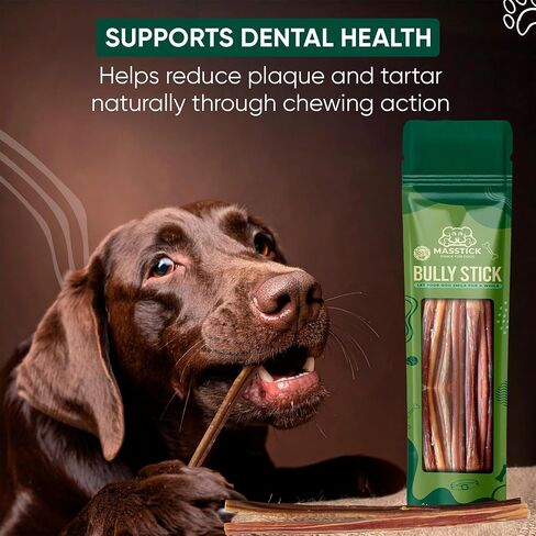 MASSTICK Jumbo Bully Sticks للكلاب 6 بوصة - سميكة جدًا، طويلة الأمد، خالية من الرائحة - أعواد مضغ البقر للكلاب - جميعها طبيعية وقابلة للهضم بالكامل للكلاب الصغيرة والكبيرة - حقيبة 8 أونصة in Kuwait