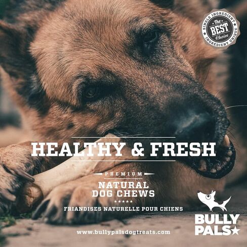 6 inch Thin Bully Sticks for Small Dogs and Puppies - 20 Pack - All Natural, Single Ingredient, Easily Digestible, All Beef Dog Treats and Rawhide Free Dental Chew Bones for Dogs in Saudi Arabia
