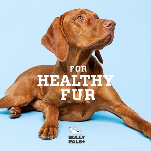 6 inch Thin Bully Sticks for Small Dogs and Puppies - 20 Pack - All Natural, Single Ingredient, Easily Digestible, All Beef Dog Treats and Rawhide Free Dental Chew Bones for Dogs in Saudi Arabia