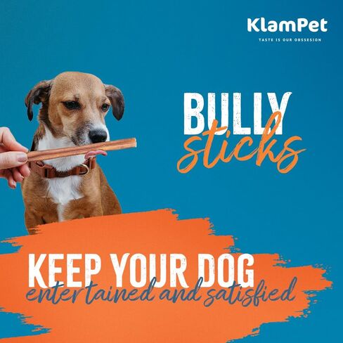 Bully Sticks للكلاب - 6 بوصات (15 عبوة) مضغ طبيعي للكلاب مكون من مكون واحد بنسبة 100% - يدوم طويلاً، رائحة منخفضة وقابل للهضم بالكامل - يدعم صحة الأسنان والمفاصل (6 بوصات (15 عبوة)) in Kuwait