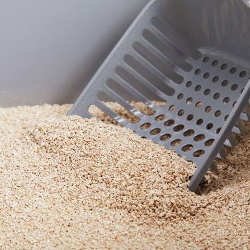 فضلات القطط ذات بذور العشب غير المعطرة من سو فريش إكستريم كلومبينج، 10 رطل. in Kuwait