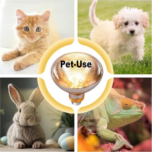 250 Watt Heat Lamp Bulbs for Chickens, PAR38 Clear Glass Brooder Heat Lamp, Infrared Reflector Heat Bulbs for Pets, Bathroom, Food, Light Therapy 2 Pack in Saudi Arabia