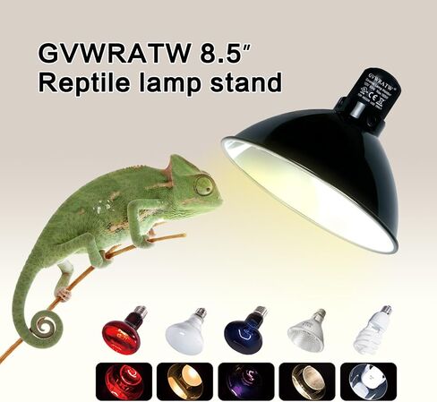 Reptile Lamp Fixture with Dimming Thermostat – Deep Dome Heat Lamp Holder with Adjustable Temperature Control, Compatible with Basking Bulbs & UVB Lights up to 160W. in Saudi Arabia