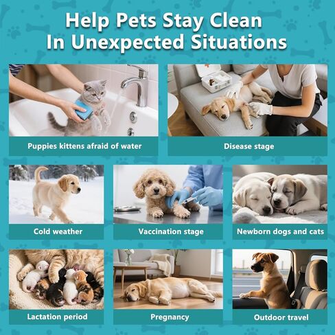 6 قطع من مناديل مبللة سميكة للغاية للحيوانات الأليفة للكلاب والقطط، قفازات تنظيف لغسل القطط والكلاب، قفازات حمام للعناية بالكلاب للعناية اليومية والسفر، بدون شطف in Kuwait
