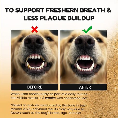 Dog Teeth Cleaning Powder - Plaque & Tartar Control, Breath Fresheners with Natural Seaweed, Probiotics, Vitamins, Turmeric & Enzymes for All Dogs & Cats (Chicken Flavor, 75 Scoops) in Saudi Arabia