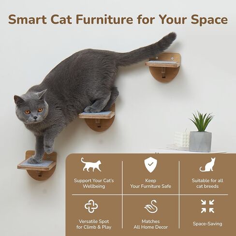 أرفف حائط للقطط بوزن 45 رطلاً مع 3 خطوات مضادة للانزلاق، وأثاث ورف على جدران القطط مثبتة لتوفير المساحة مع وسادة قابلة للغسل للتسلق، ورف داخلي للقطط الكبيرة (خطوات حائط طبيعية للقطط) in Kuwait
