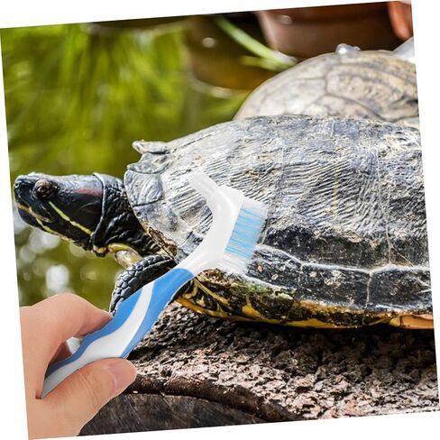 2pcs Double-Side Turtle Shell Cleaning Brush with Ergonomic Handle Bristles for Removing Dirt and Grime Portable Multi-use Turtle Care Tool for Shells and Conchs in Saudi Arabia