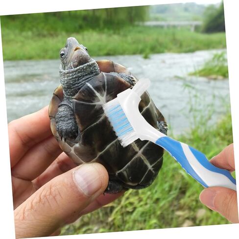 2pcs Double-Side Turtle Shell Cleaning Brush with Ergonomic Handle Bristles for Removing Dirt and Grime Portable Multi-use Turtle Care Tool for Shells and Conchs in Saudi Arabia