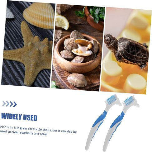 2pcs Double-Side Turtle Shell Cleaning Brush with Ergonomic Handle Bristles for Removing Dirt and Grime Portable Multi-use Turtle Care Tool for Shells and Conchs in Saudi Arabia