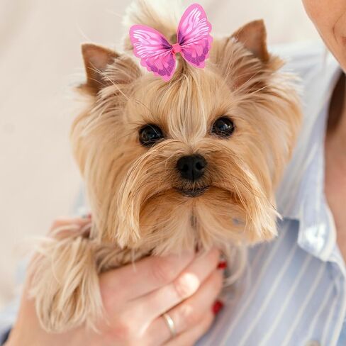 36 Pcs Small Dog Hair Bows with Rubber Bands Handmade Tiny Pet Grooming Accessories Butterfly Small Dog Knotted Bows Multicolor Pearls Flower Elastic Hair Ties Bands for Puppy Cats Pets in Saudi Arabia