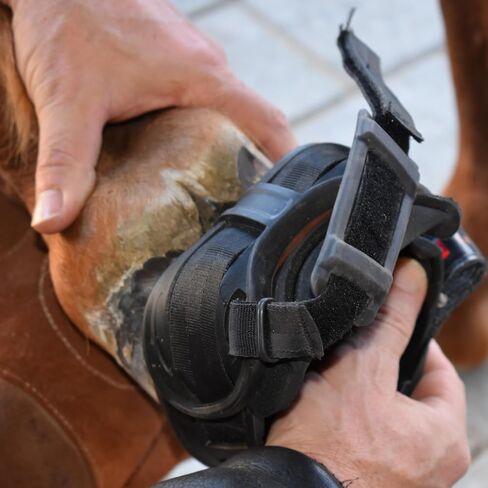 SG Boot Kit Pair - Premium Durable TPU Hoof Boots All-Year Trail Riding Protection, Sizes 3-8 in Saudi Arabia