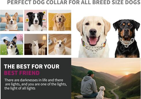 Martingale Dog Collar with Chain Stainless Steel, Nylon Dog Collar Flowers Pattern, Adjustable Training Walking Collar with Quick Release Buckle, Slip Chain Collar for Puppy Medium Large Dogs in Saudi Arabia