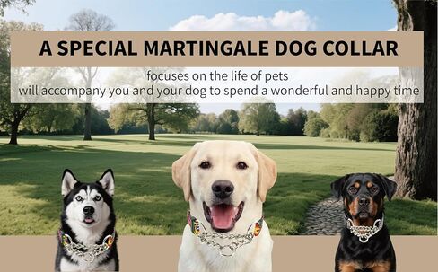 Martingale Dog Collar with Chain Stainless Steel, Nylon Dog Collar Flowers Pattern, Adjustable Training Walking Collar with Quick Release Buckle, Slip Chain Collar for Puppy Medium Large Dogs in Saudi Arabia