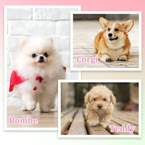 Dog Bowknot Dresses, Dog Dress Pink Pet Skirts Princess Dress Bowknot Cat Clothes Outfit for Puppy Medium in Kuwait