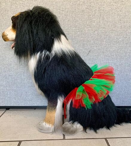 Handcrafted Red and Green Christmas Colors Mesh Tutu for Large Dogs with 23 to 32 inch Waist. in Saudi Arabia
