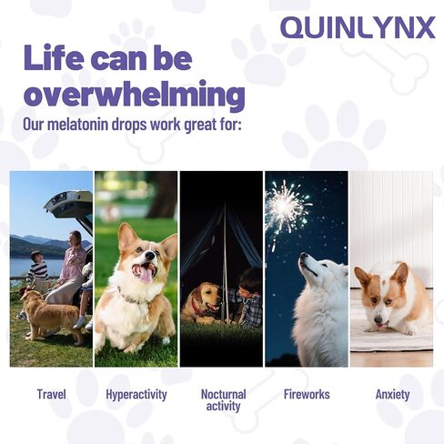 Melatonin for Dogs,Dog Sleep Aid,Calming for Dogs,Helps Restful Sleep, L-Theanine,Promotes Overall Well-Being,Multiple Vitamins,Suitable for All Dog,100% Natural in Saudi Arabia