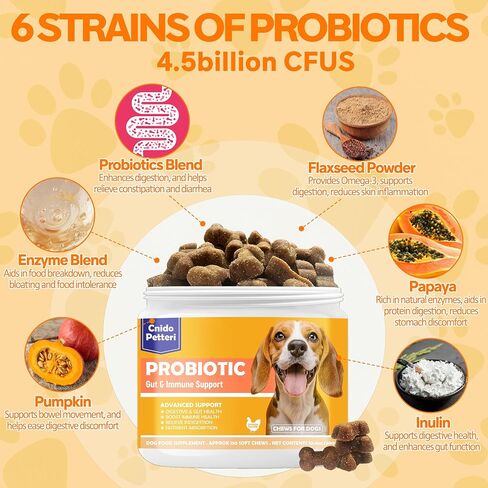 Probiotics for Dogs,6 Digestive Probiotics & 6 Enzymes for Gut Health,Digestion & Gut Support,Helps Diarrhea, Yeast Infection, Upset Stomach,Allergies & Immune System Support-150 Chews in Saudi Arabia