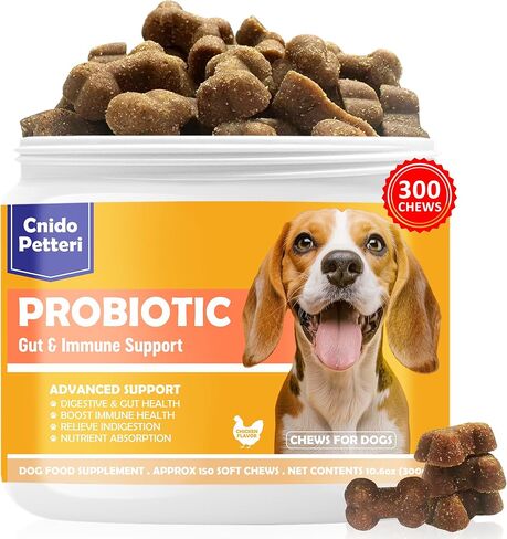 Probiotics for Dogs,6 Digestive Probiotics & 6 Enzymes for Gut Health,Digestion & Gut Support,Helps Diarrhea, Yeast Infection, Upset Stomach,Allergies & Immune System Support-150 Chews in Saudi Arabia