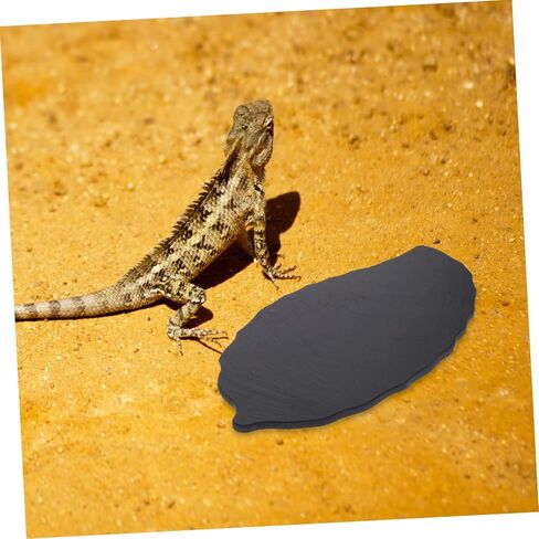 Decorative Basking Platform for Turtles Natural Stone Turtle Feeding Rock Reusable Tank Decoration for Tortoises and Reptiles for Aquatic Habitat in Saudi Arabia