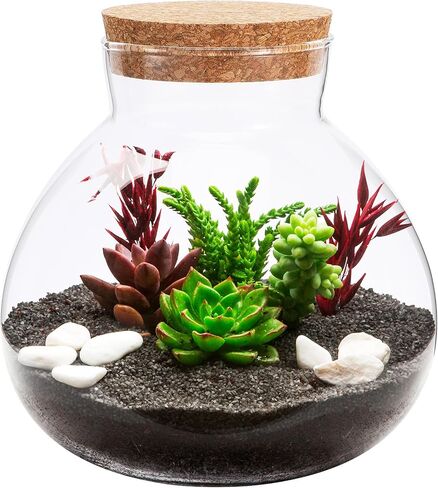 Milisten Glass Plant Terrarium, Cork Micro Landscape Terrarium, Glass Fish Bowl Vase Container, Plant Propagation Station for Fish Home Office Decor, 15x16cm in Saudi Arabia