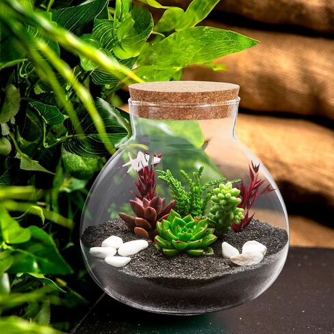 Milisten Glass Plant Terrarium, Cork Micro Landscape Terrarium, Glass Fish Bowl Vase Container, Plant Propagation Station for Fish Home Office Decor, 15x16cm in Saudi Arabia