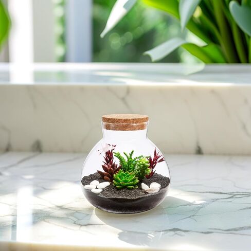 Milisten Glass Plant Terrarium, Cork Micro Landscape Terrarium, Glass Fish Bowl Vase Container, Plant Propagation Station for Fish Home Office Decor, 15x16cm in Saudi Arabia