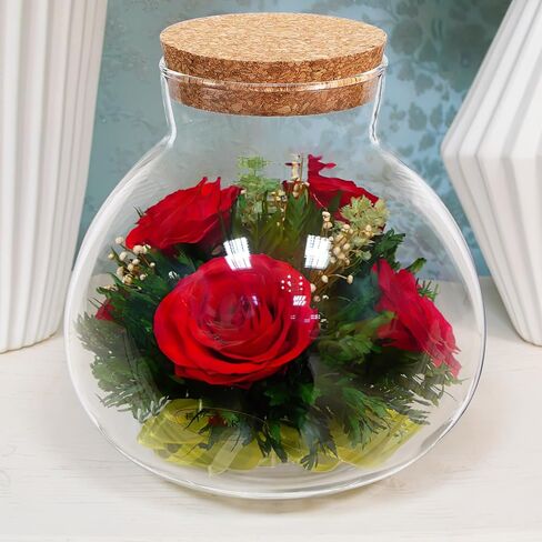 Milisten Glass Plant Terrarium, Cork Micro Landscape Terrarium, Glass Fish Bowl Vase Container, Plant Propagation Station for Fish Home Office Decor, 15x16cm in Saudi Arabia