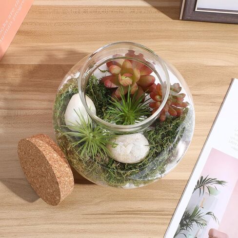 Milisten Glass Plant Terrarium, Cork Micro Landscape Terrarium, Glass Fish Bowl Vase Container, Plant Propagation Station for Fish Home Office Decor, 15x16cm in Saudi Arabia