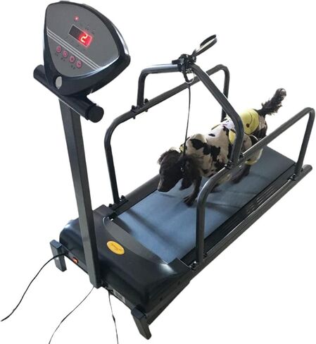 Premium Dog Treadmill for Small & Medium Breeds, Indoor Running Machine for Dogs Up to 176 lbs, Pet Exercise Equipment for Fitness & Training in Saudi Arabia