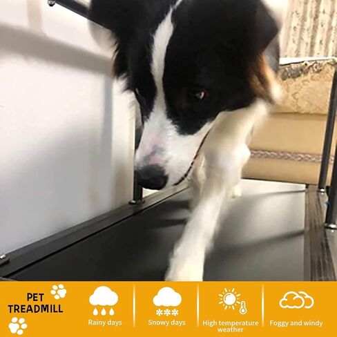Premium Dog Treadmill for Small & Medium Breeds, Indoor Running Machine for Dogs Up to 176 lbs, Pet Exercise Equipment for Fitness & Training in Saudi Arabia