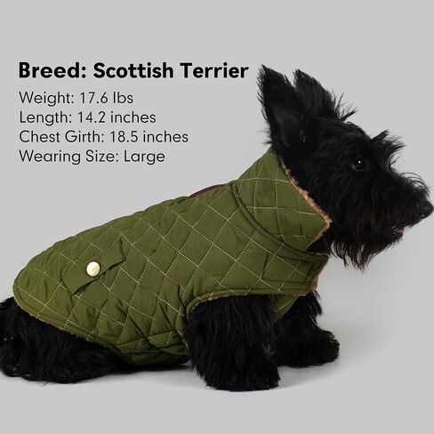 azuza Dog Jacket Waterproof & Windproof Dog Coat for Small Dogs with Thick Fleece, High Collar with Leash Hole, Adjustable Velcro & Elastic Belly, Army Green L in Kuwait