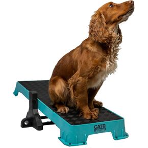 Cato Board XL - Dog Platform (Purple, Without Tilt Stand) in Saudi Arabia